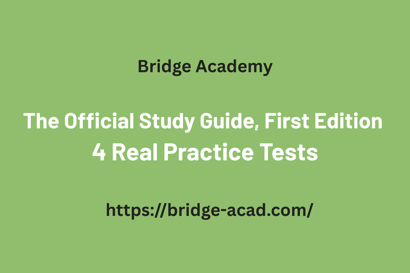 bridge-academy-mr-el-sayed-ramadan